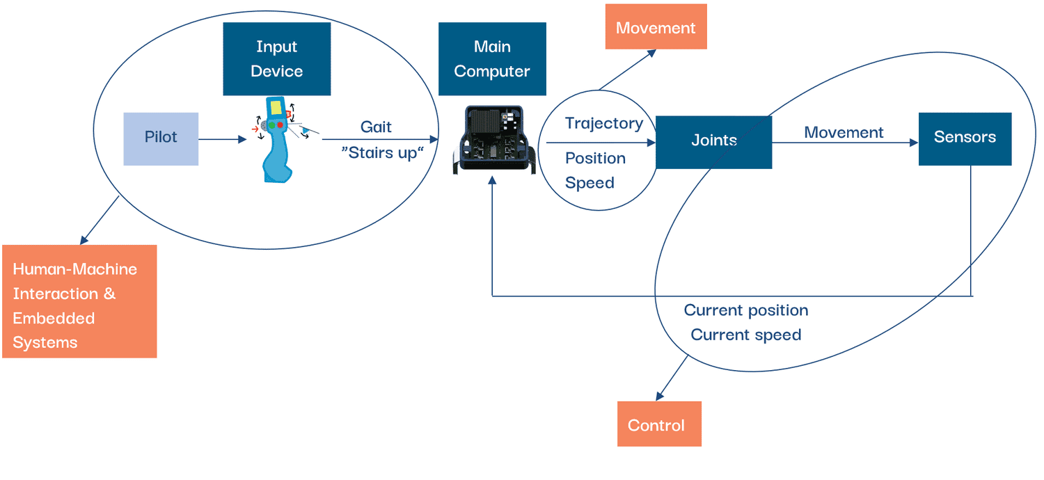exoskelet schema
